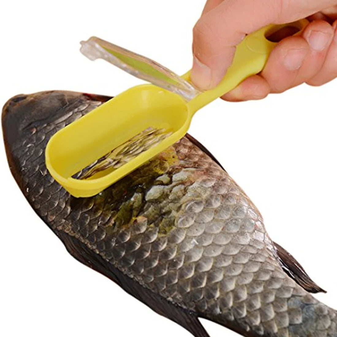 Effortless Fish Cleaning: Scraper, Grater & Brush in One